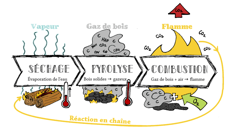 Combustion du bois : tout comprendre sur les phases de combustion