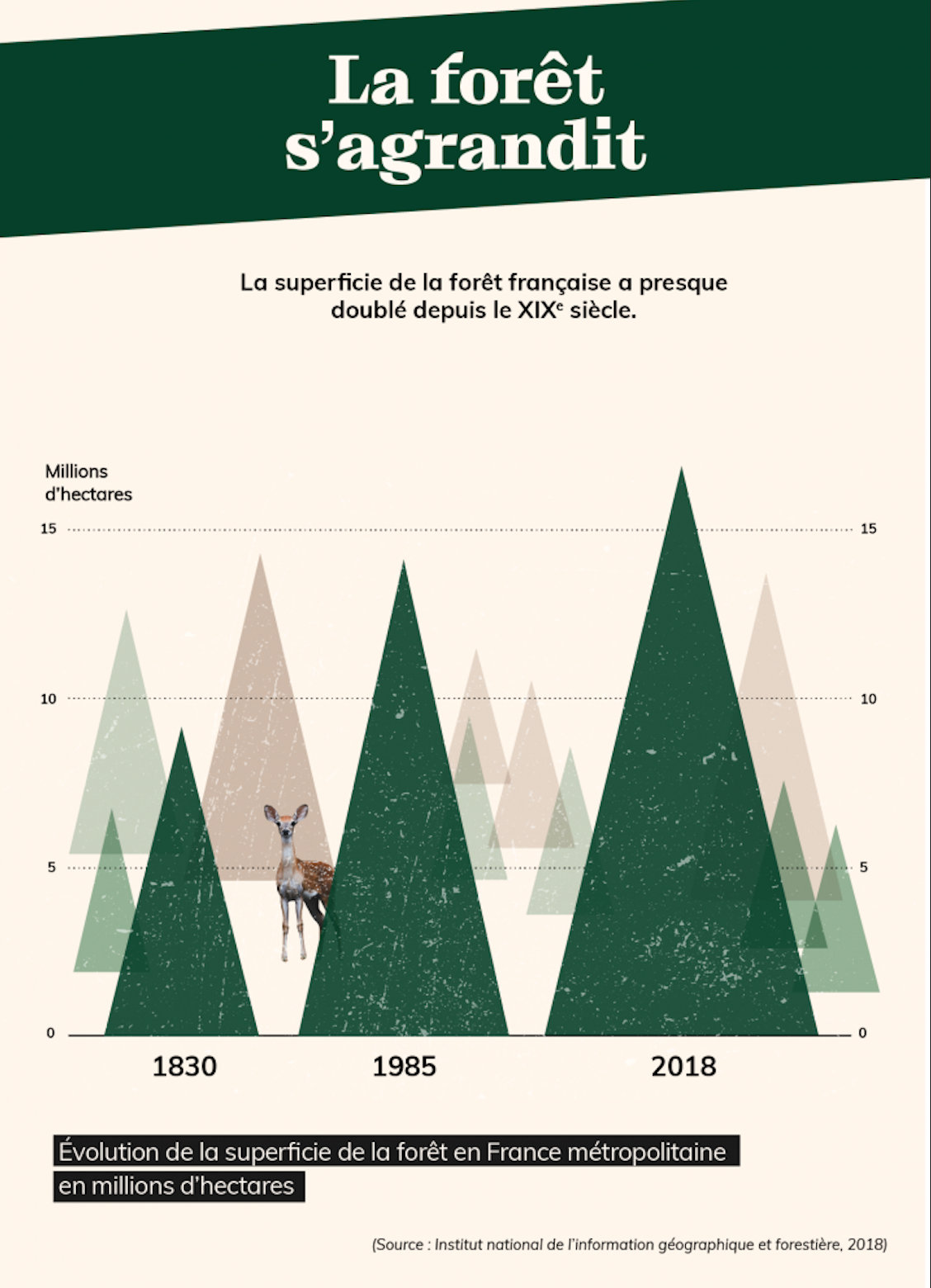 Evolution de la surface forestière en France