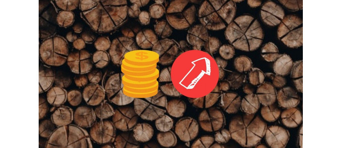 Poêles à bois et granulés : appareils et combustibles, où en sommes-nous ?