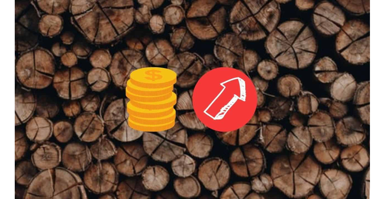 Poêles à bois et granulés : appareils et combustibles, où en sommes-nous ?